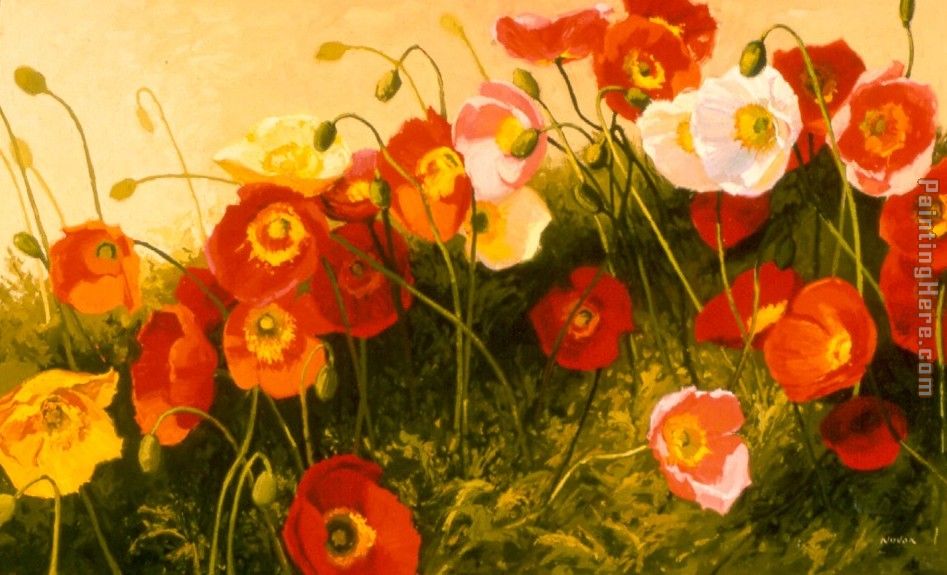 Poppies In Celebration painting - Shirley Novak Poppies In Celebration art painting